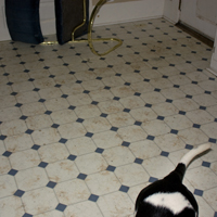 20090126
