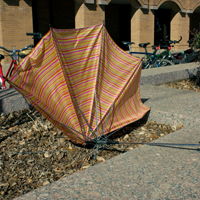 20090211